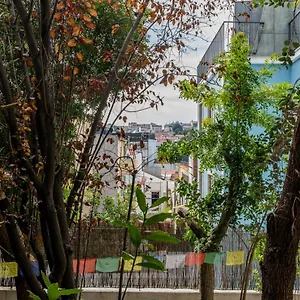 Lost :: Avenida House Gasthof